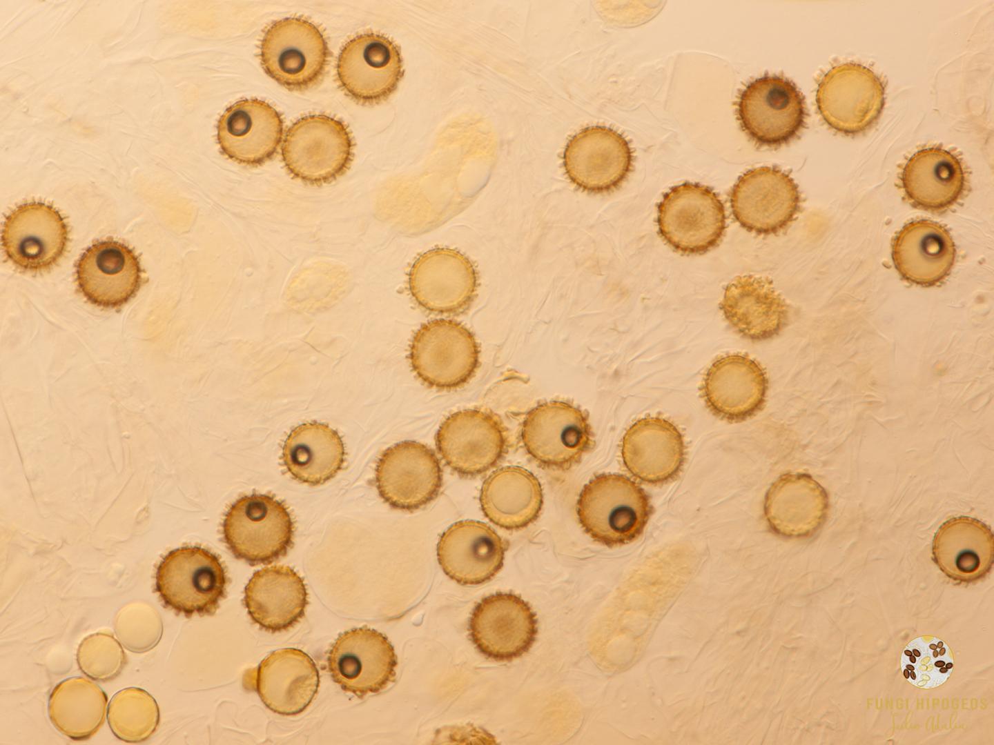 Imagen de portada 802