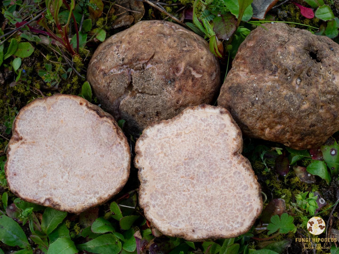 Imagen de portada 813