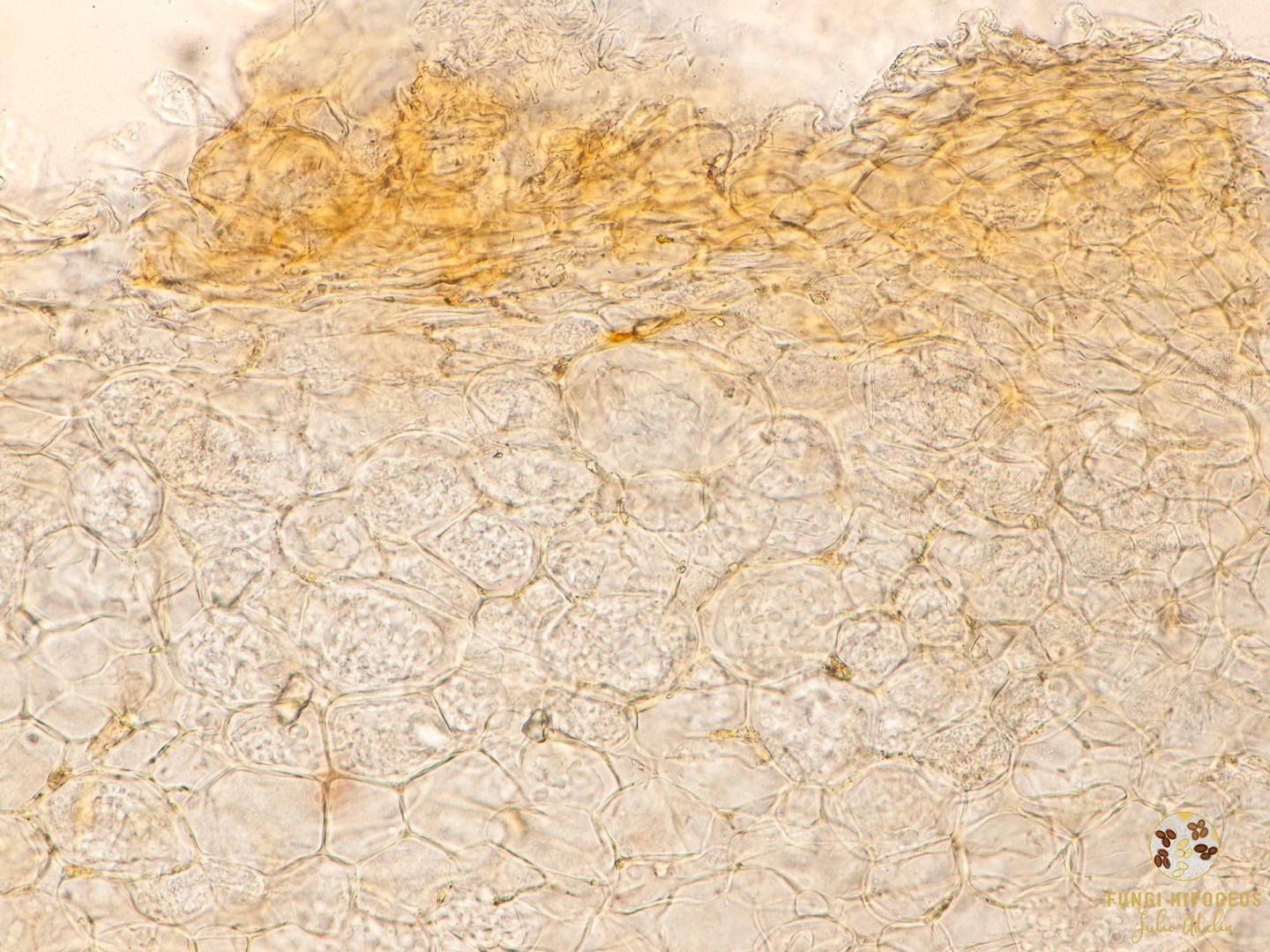 Imagen de portada 816