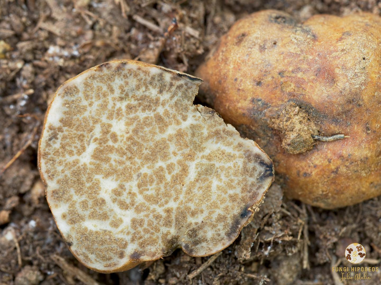 Imagen de portada 821