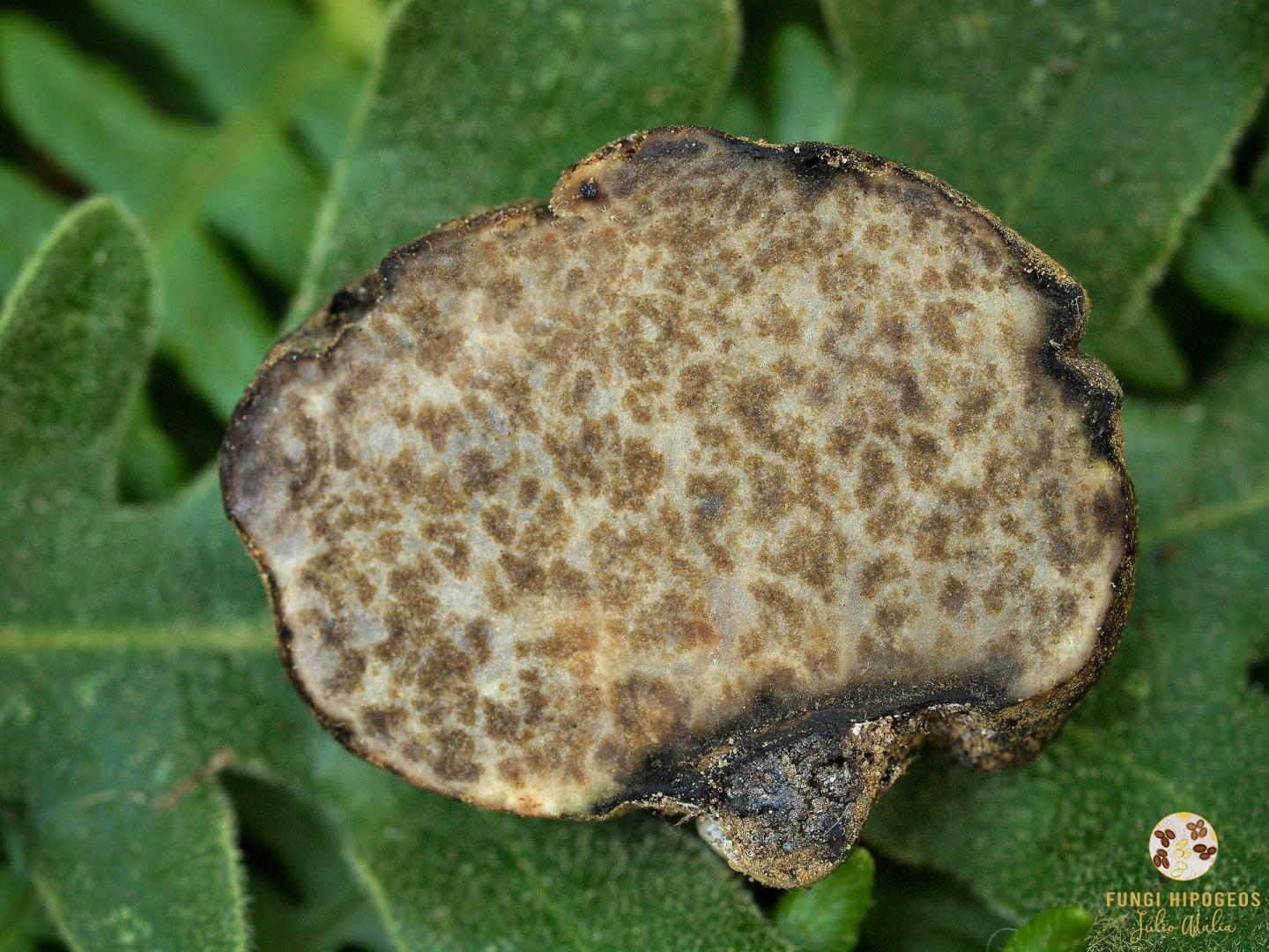 Imagen de portada 823