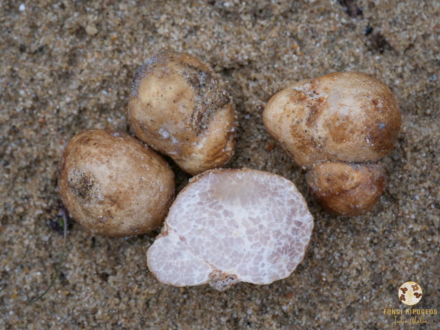 Imagen de portada 846