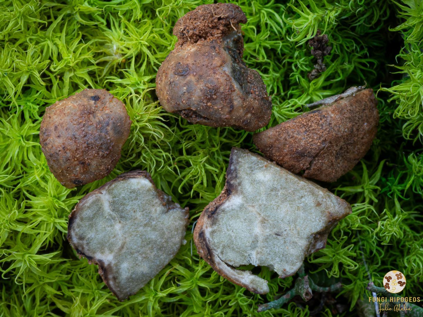 Imagen de portada 854