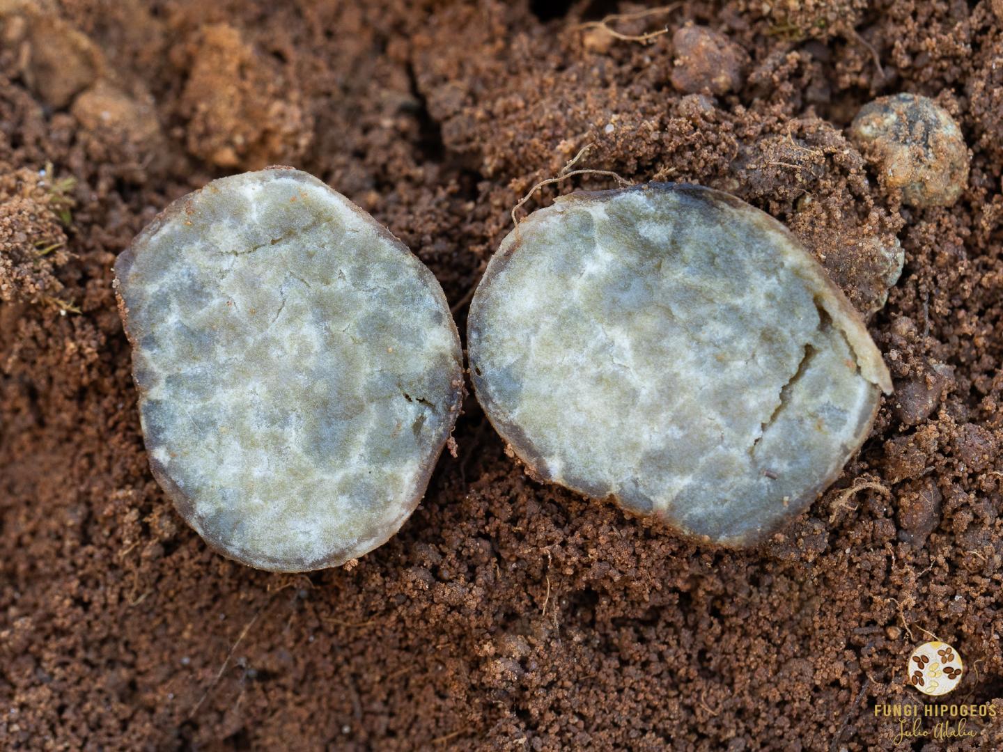 Imagen de portada 855