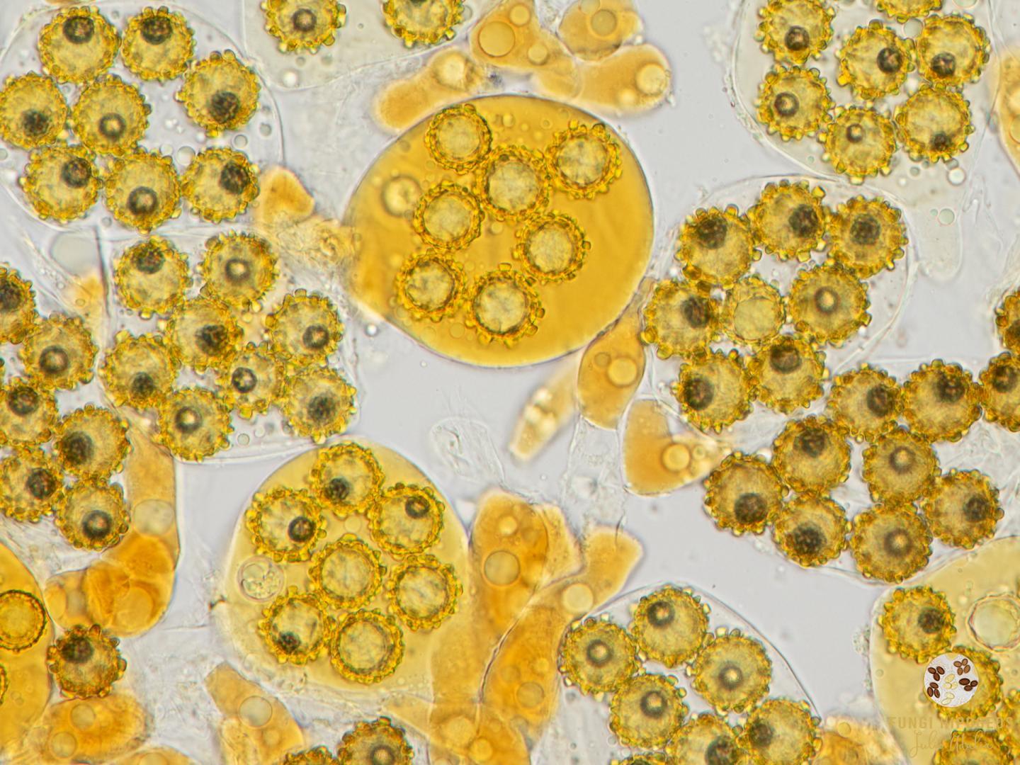 Imagen de portada 856