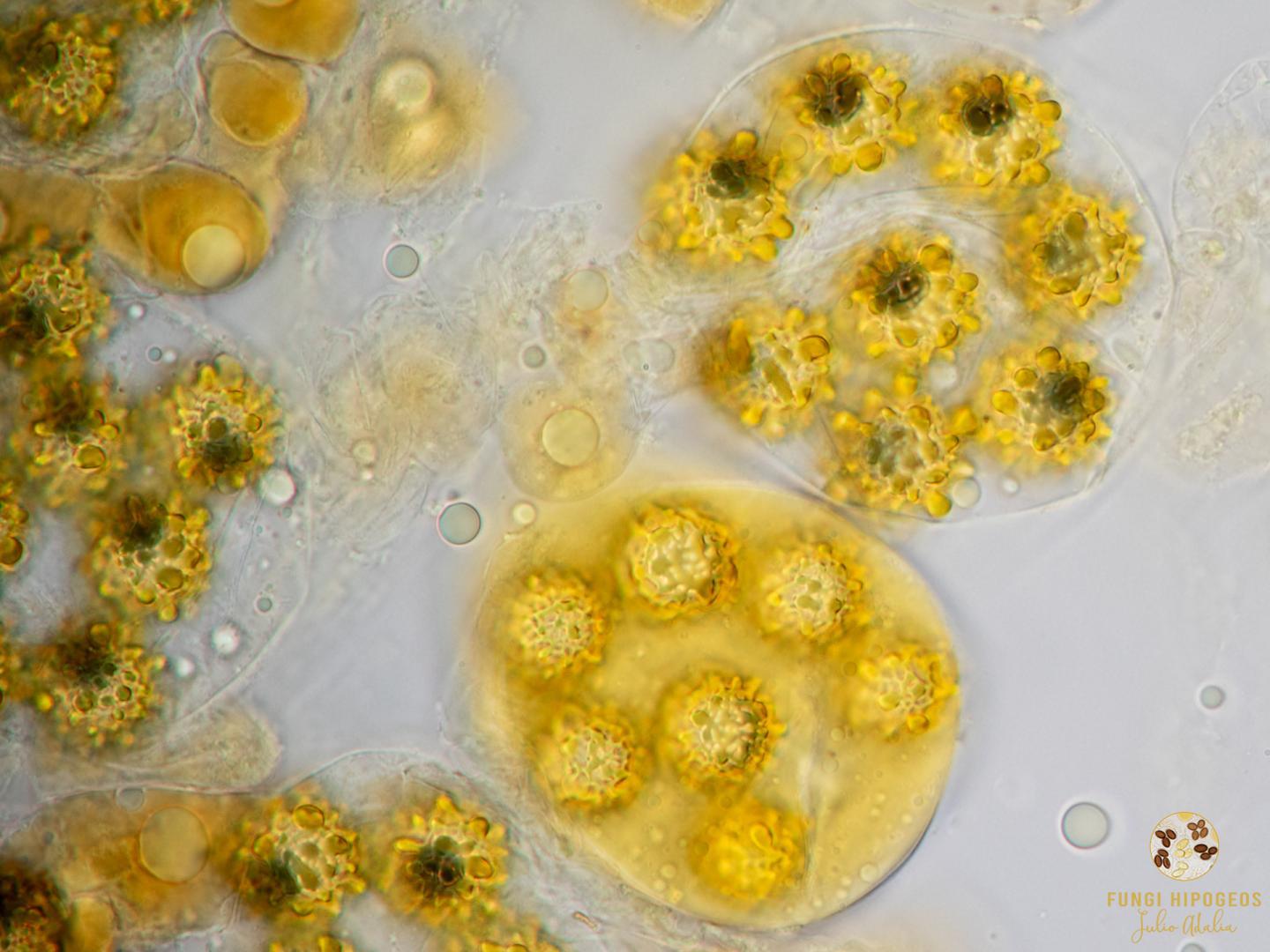 Imagen de portada 857