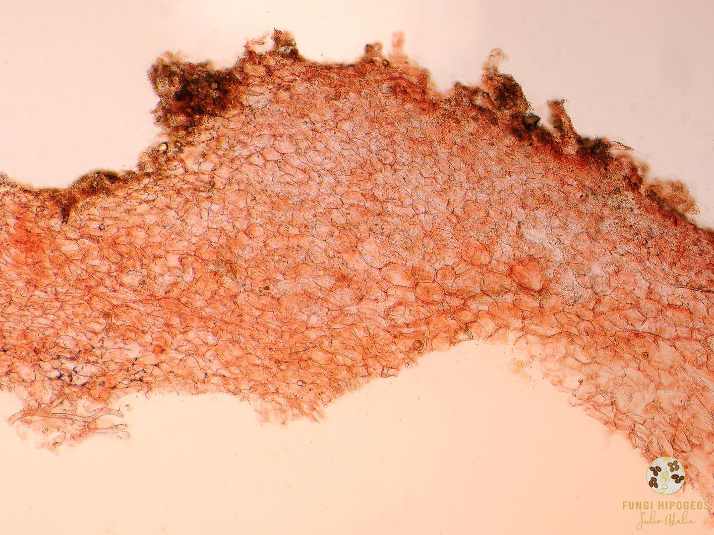 Imagen de portada 859