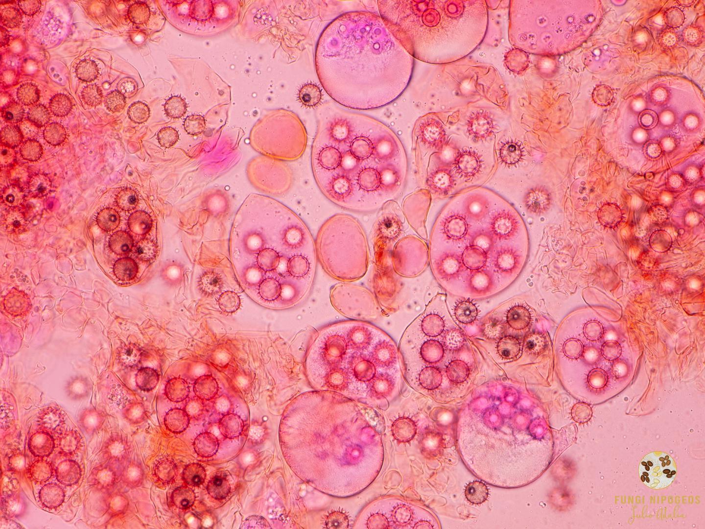 Imagen de portada 864