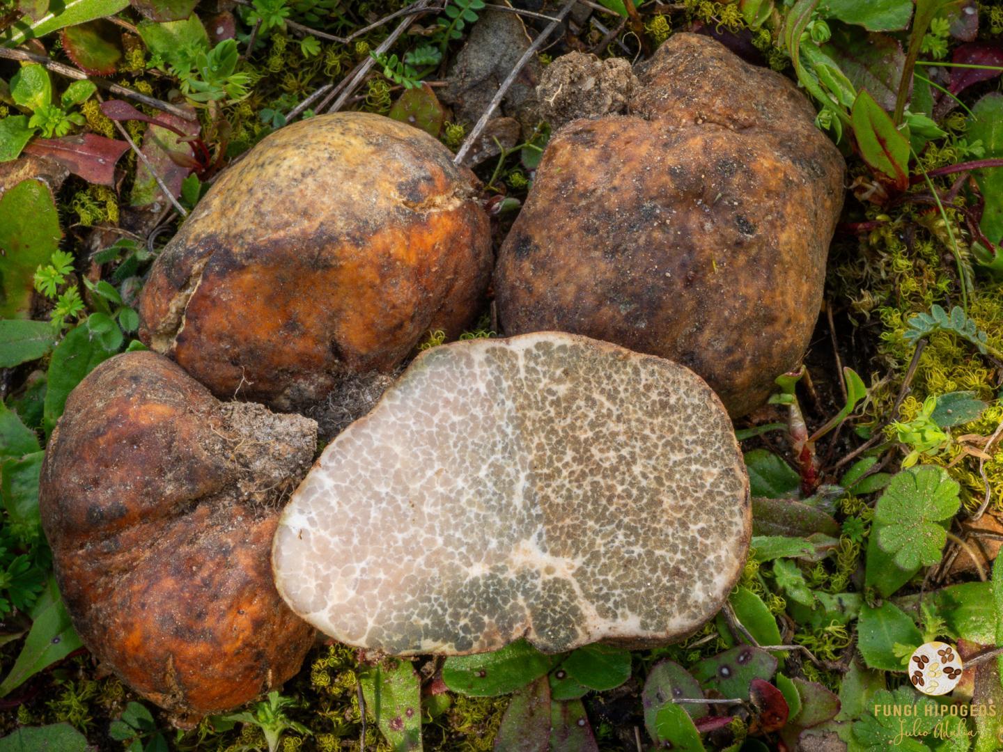 Imagen de portada 873