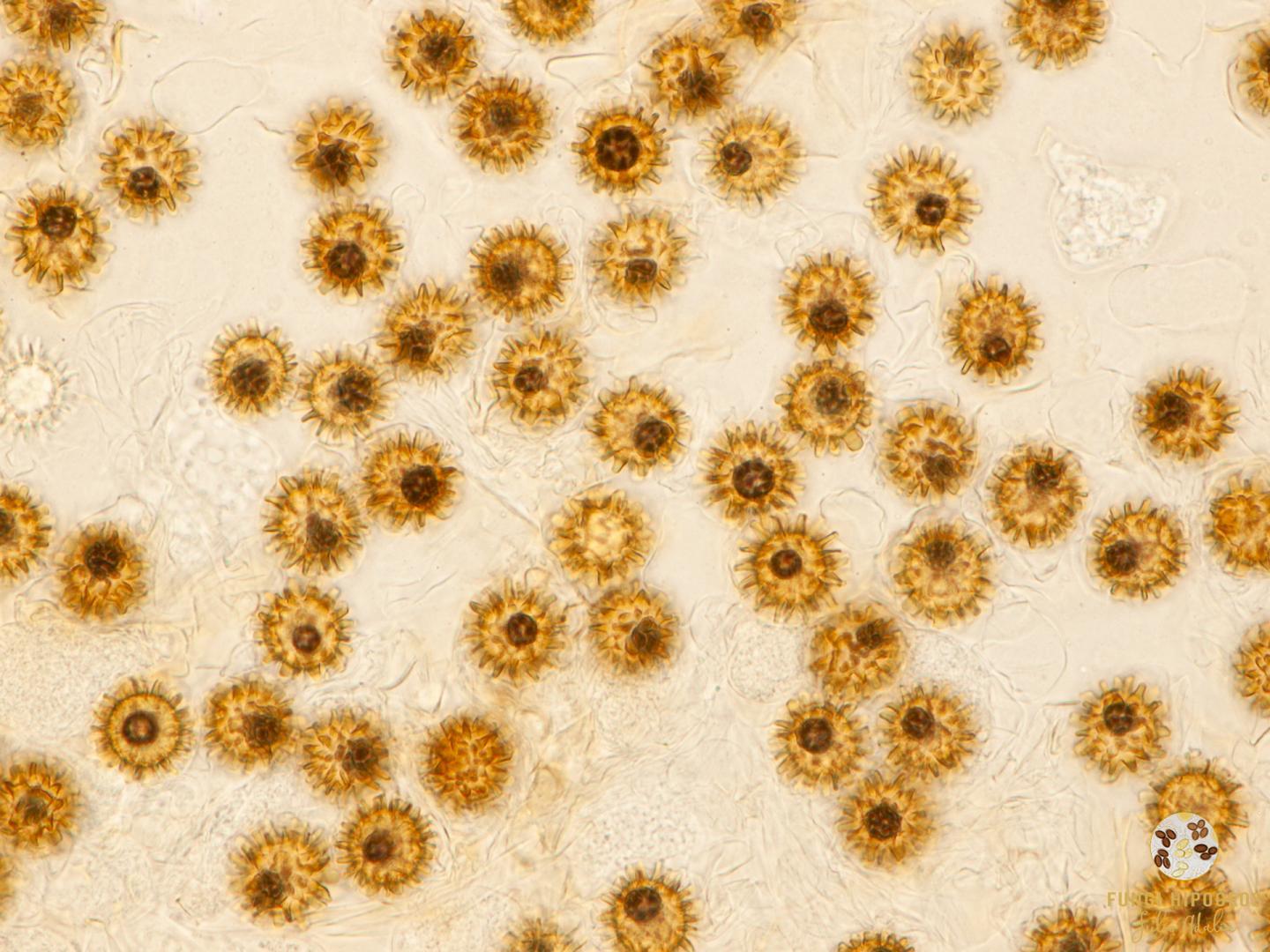 Imagen de portada 892