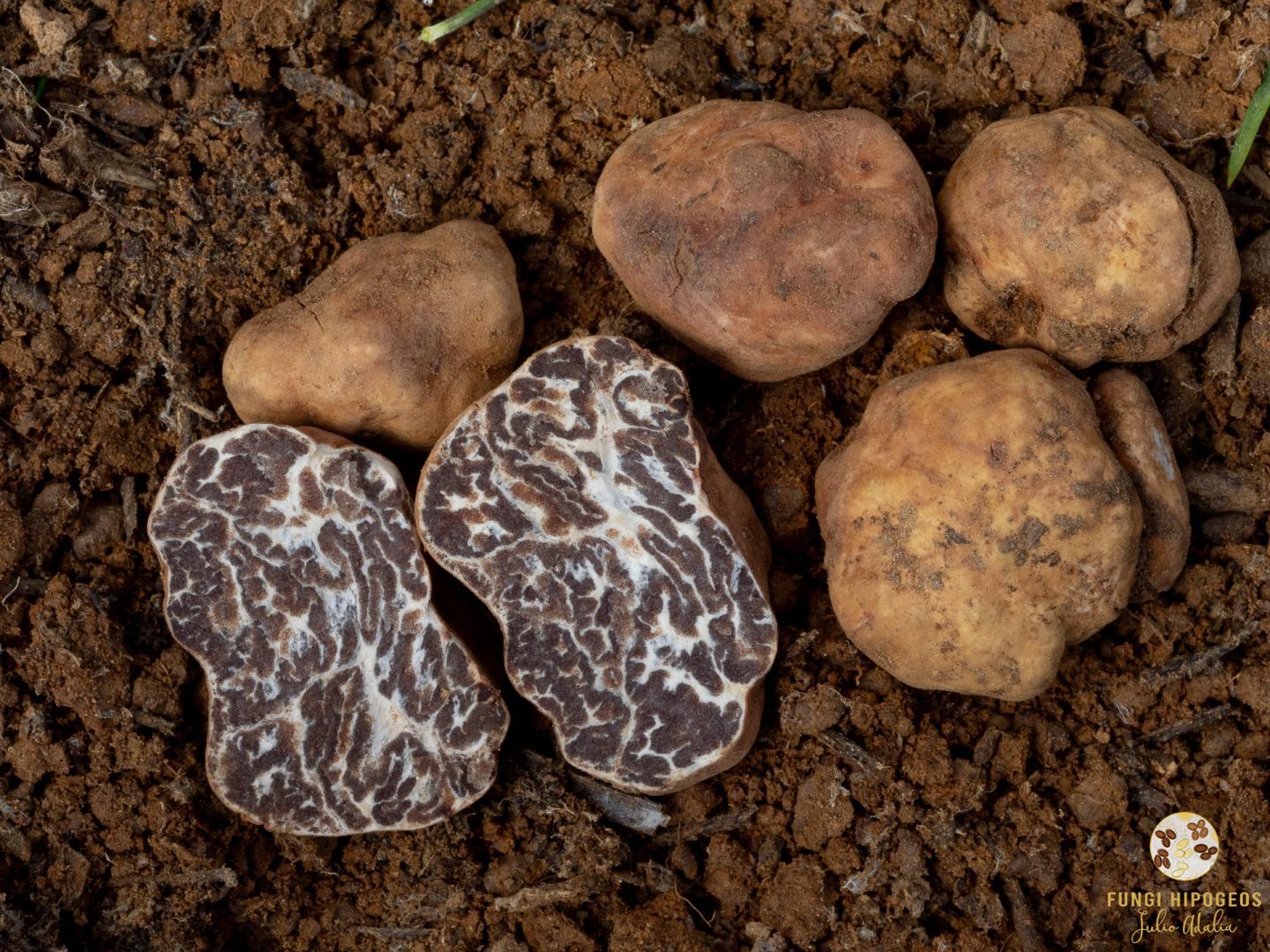 Imagen de portada 719