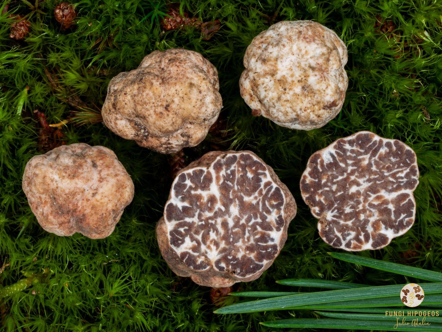 Imagen de portada 720