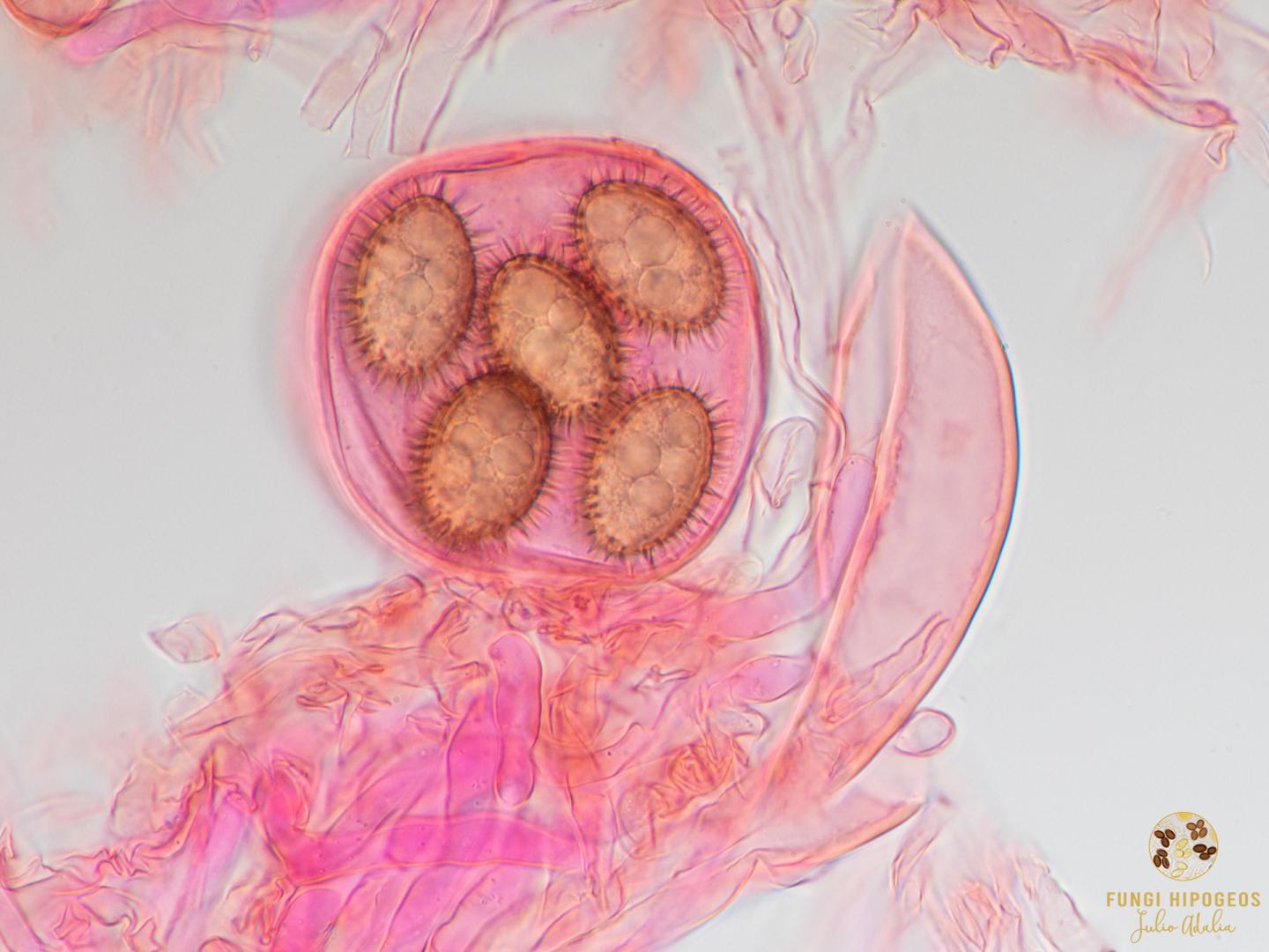 Imagen de portada 657