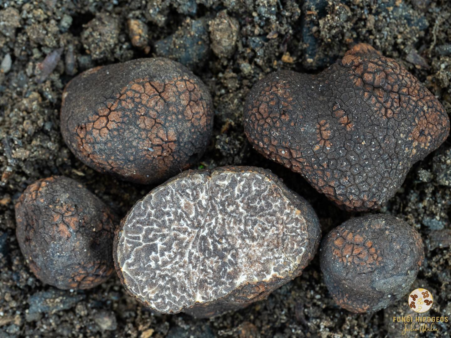 Imagen de portada 693