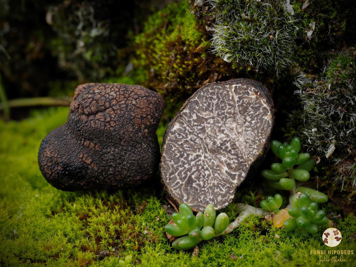 Imagen de portada 696