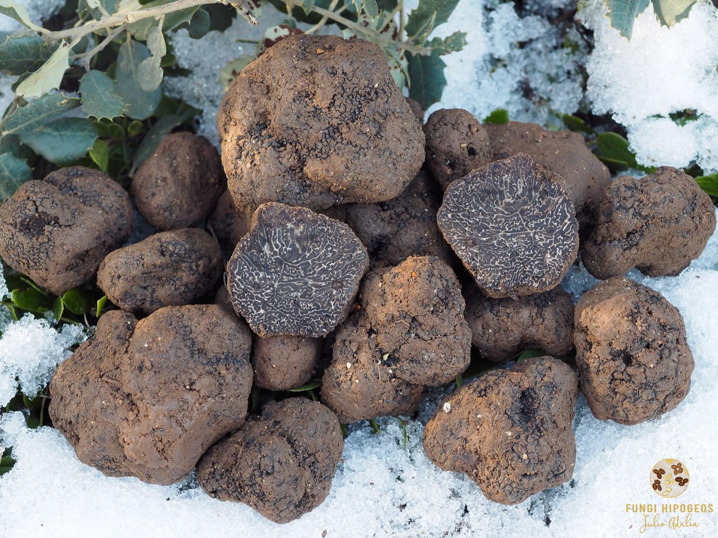 Imagen de portada 668