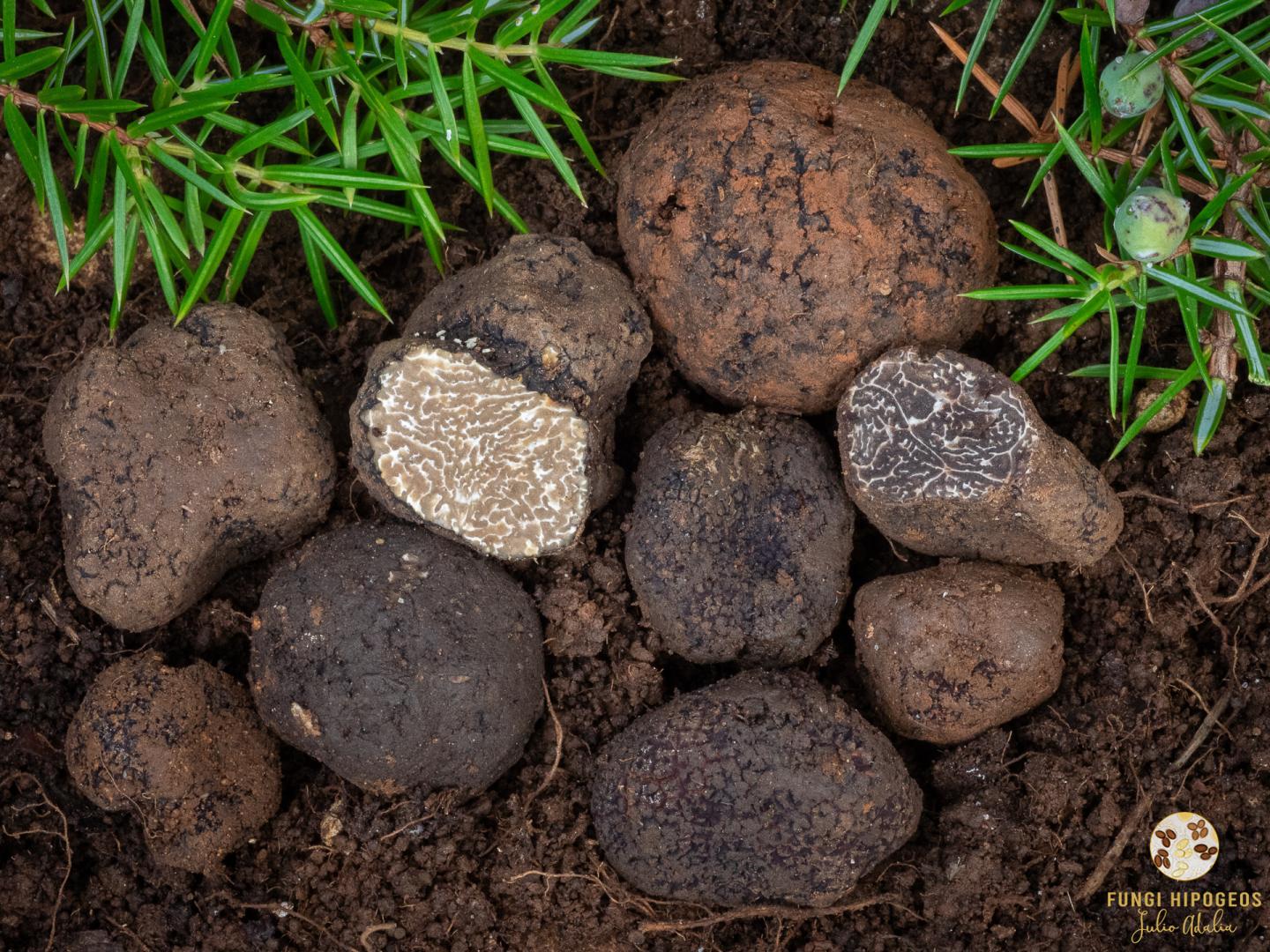 Imagen de portada 669