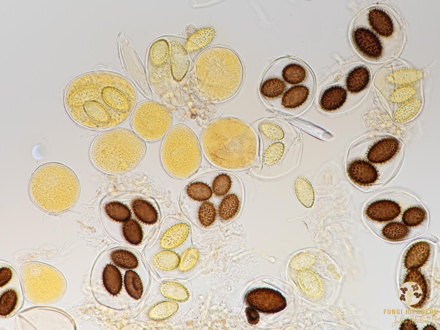 Imagen de portada 673