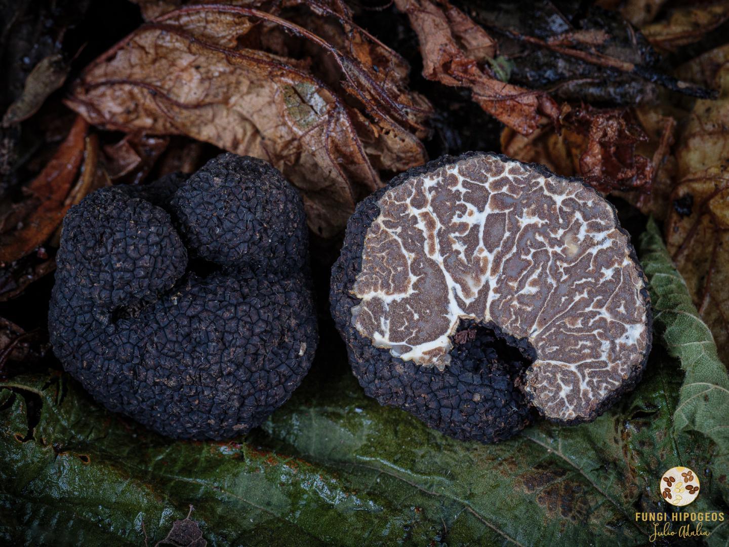 Imagen de portada 758