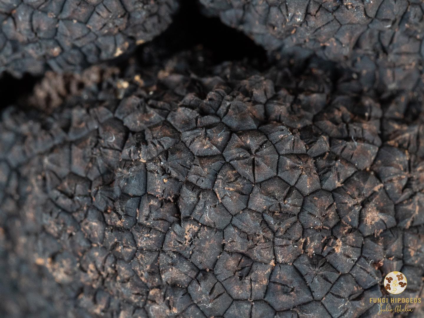 Imagen de portada 760