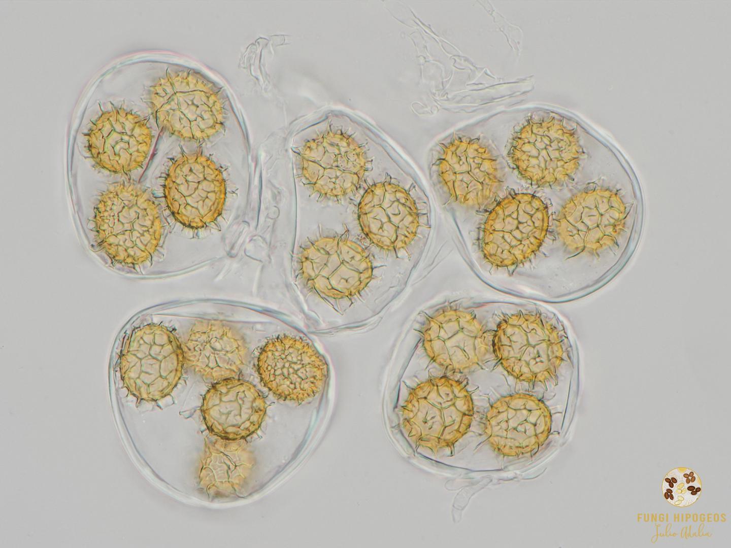 Imagen de portada 762