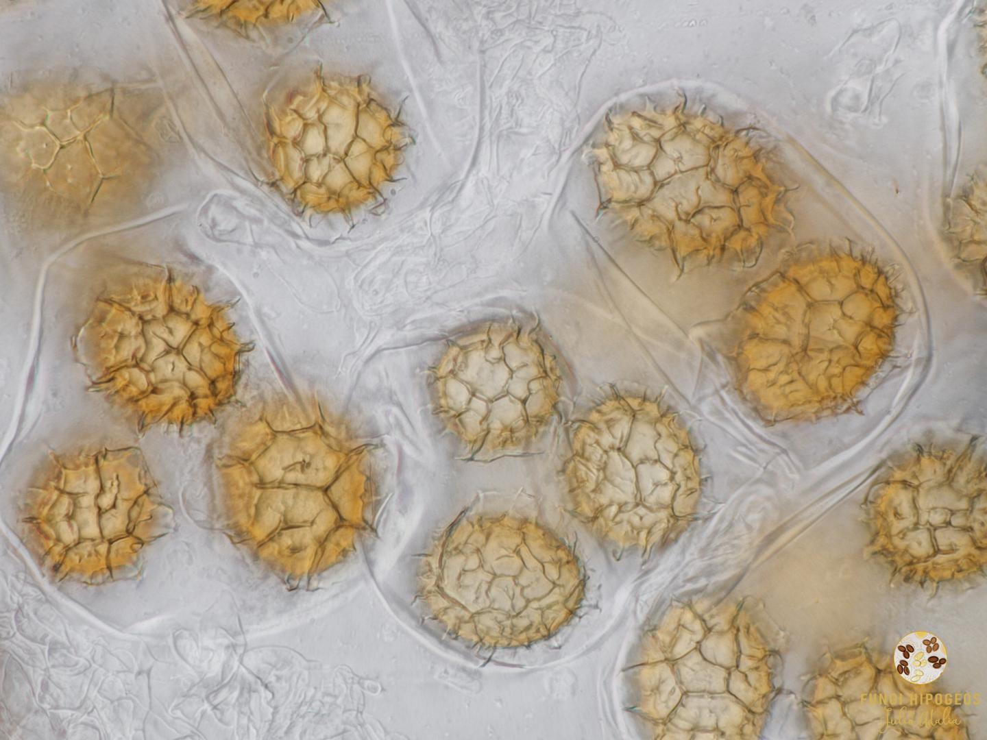 Imagen de portada 764