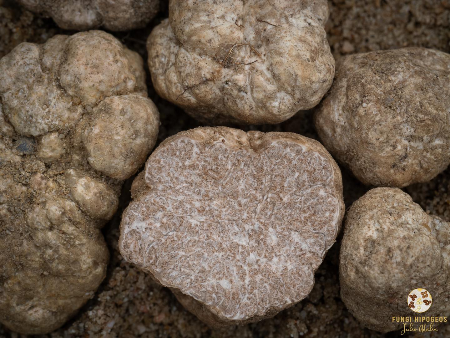 Imagen de portada 768