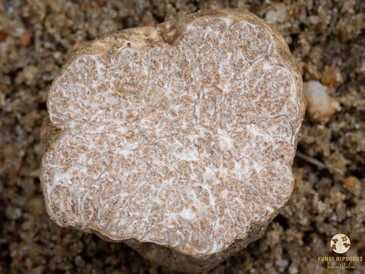 Imagen de portada 770