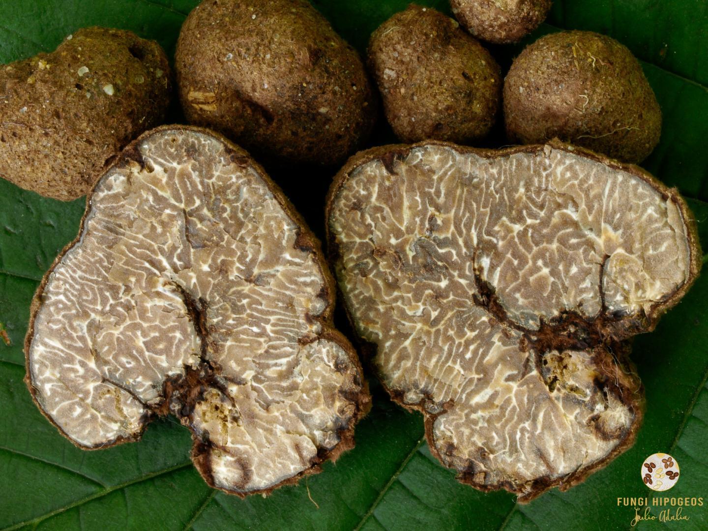 Imagen de portada 778